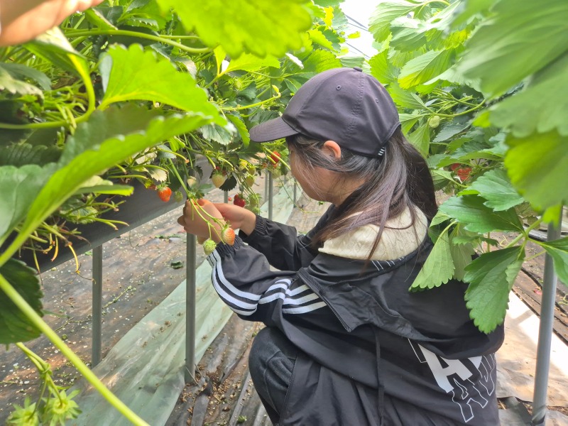 KakaoTalk_20250429_102246226_27.jpg